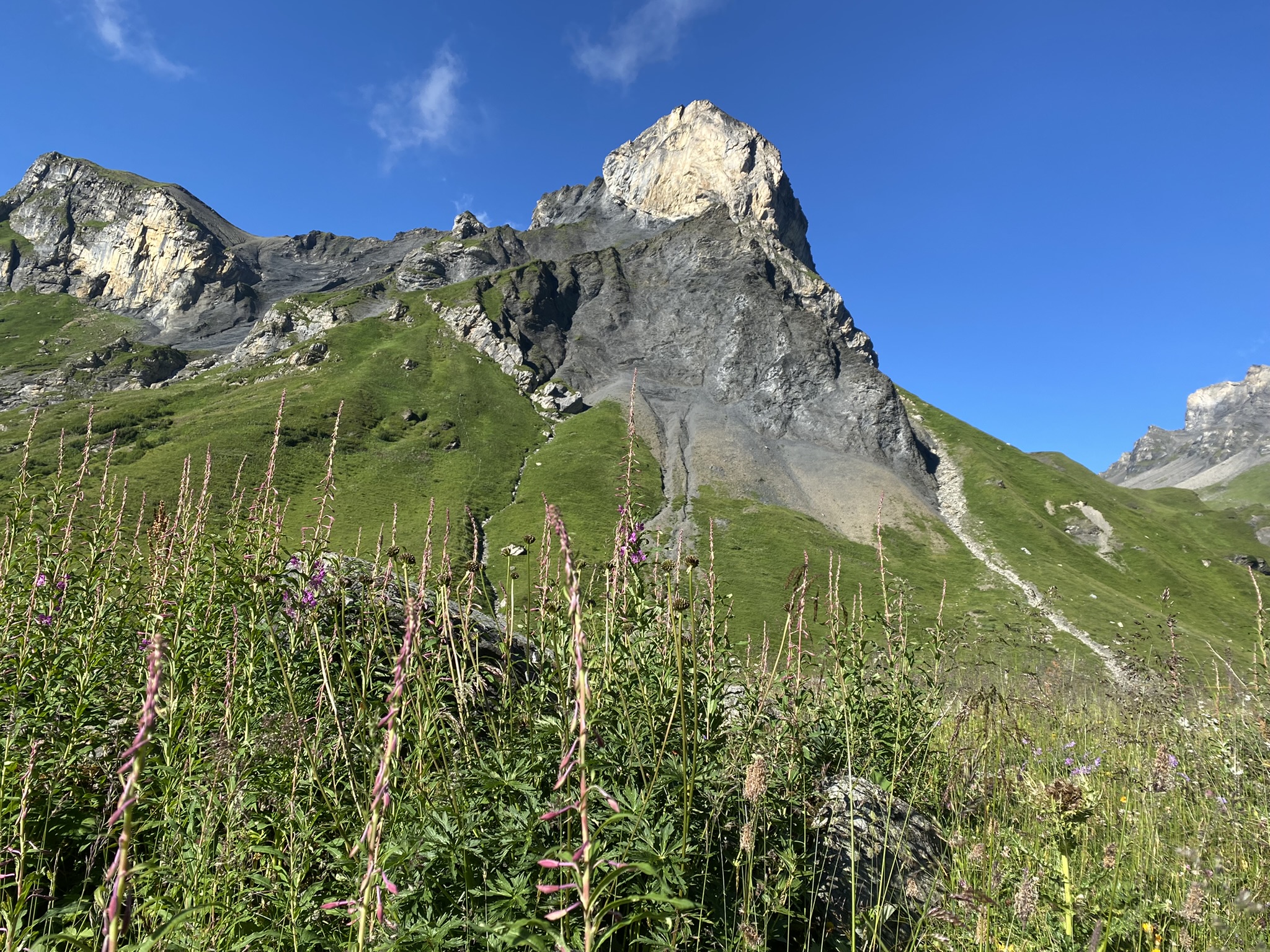 bernese oberland; valley