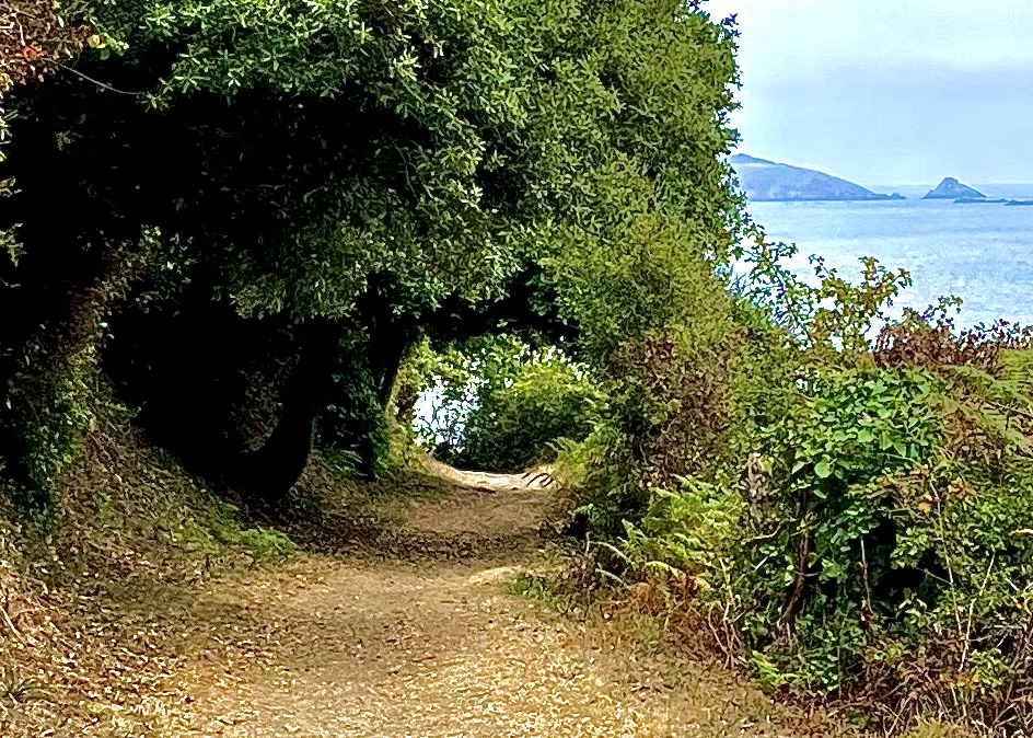 costal trail geurnsey