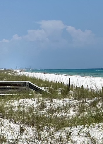 gulf islands national seashore; sea oats and sand dunes