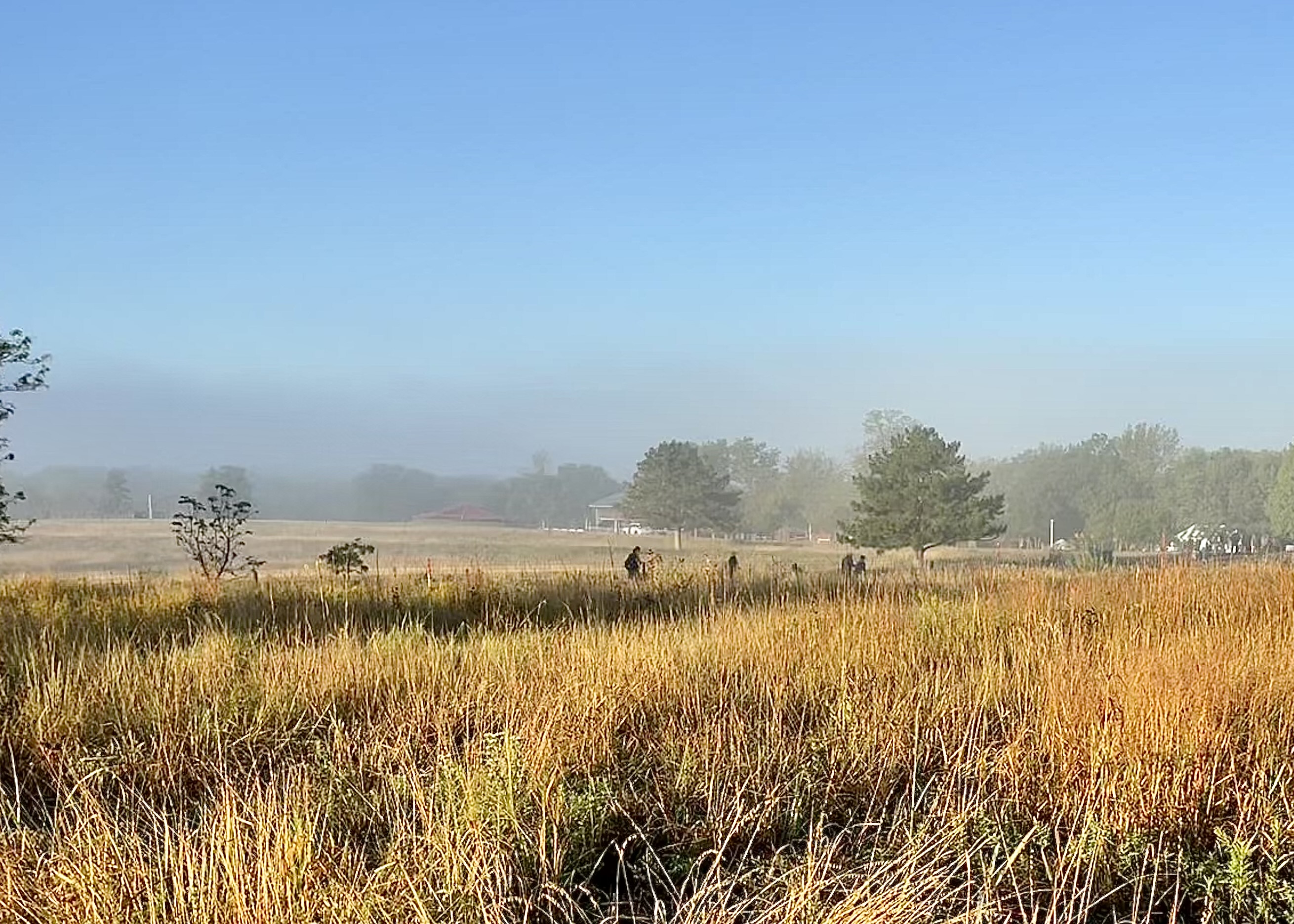 foggy morning