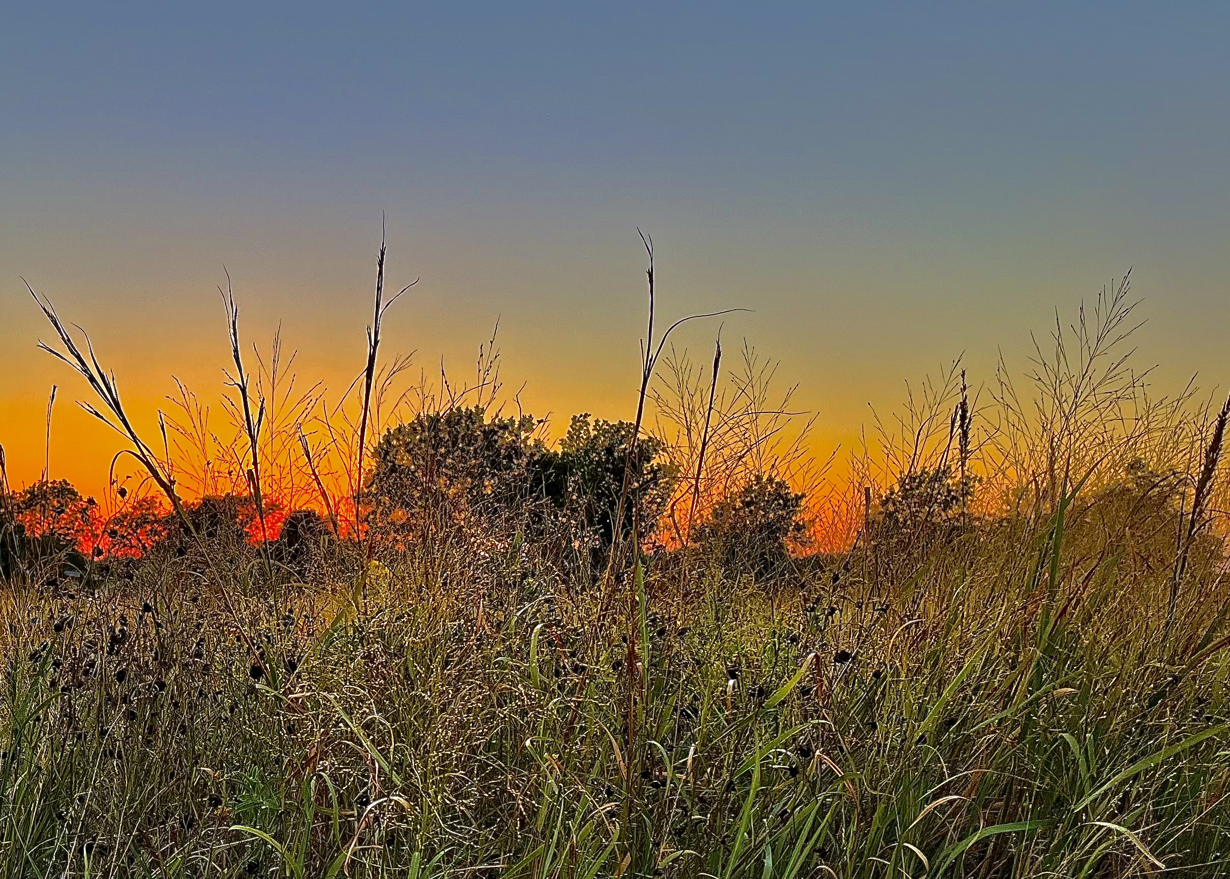 land institute sunset