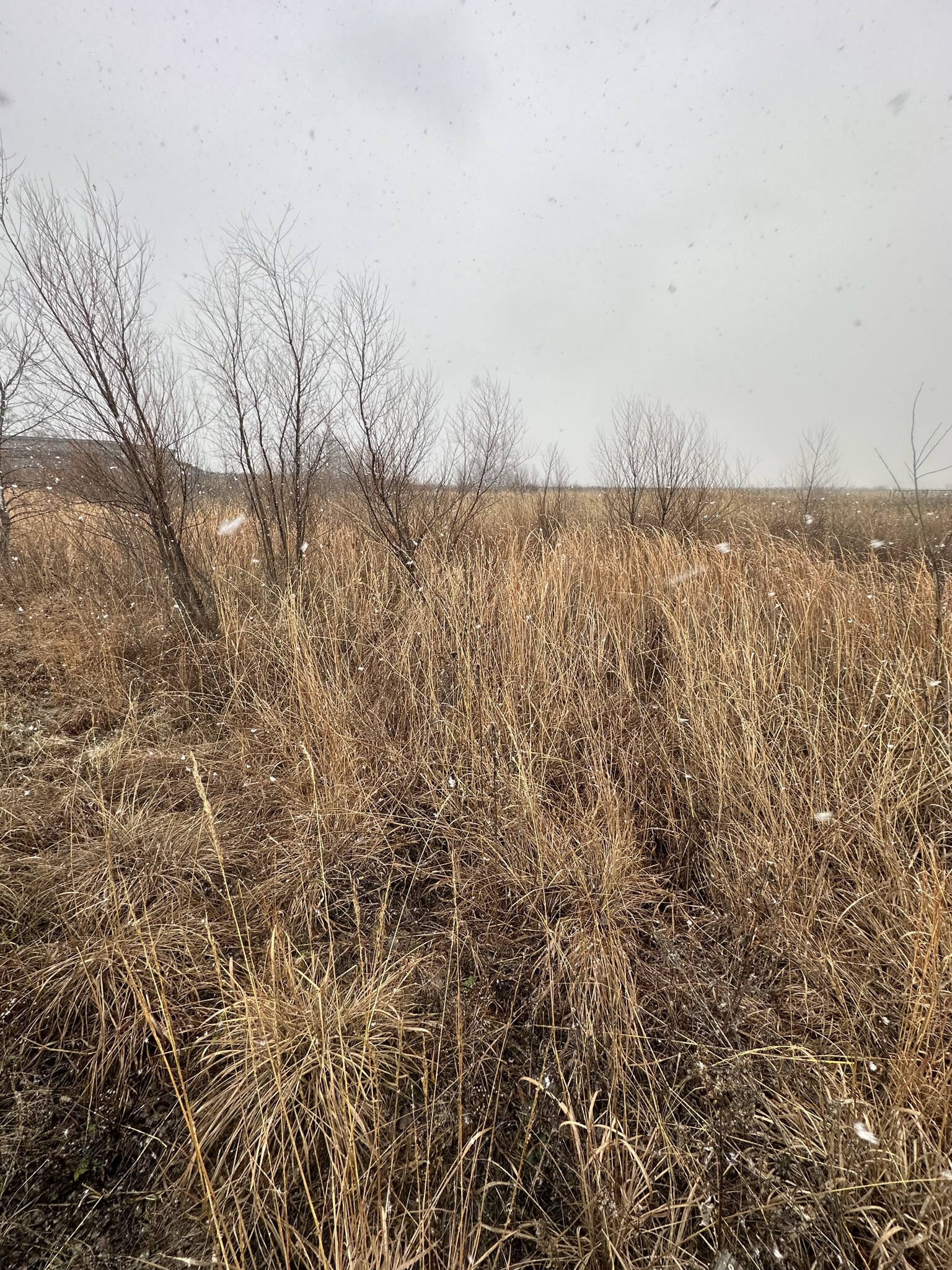 Prairie Park Nature Center